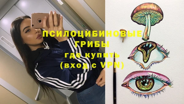 PSILOCYBIN Алексеевка