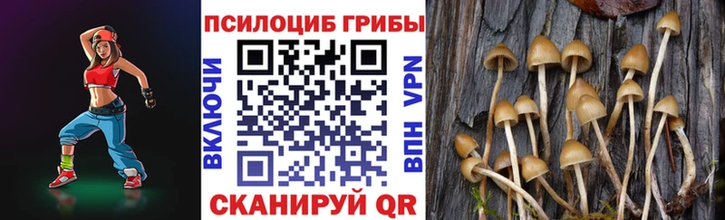 Псилоцибиновые грибы Psilocybe  МЕГА tor  Бабушкин 